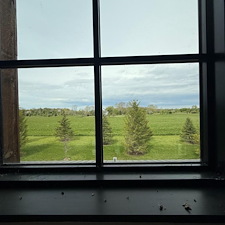 Window Cleaning Ann Arbor, MI 1