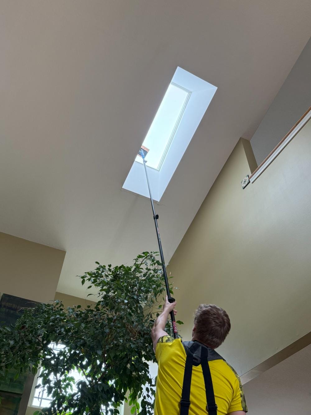 Window Cleaning The Hills Lake Forrest of Ann Arbor